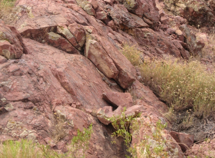 Chuckwalla